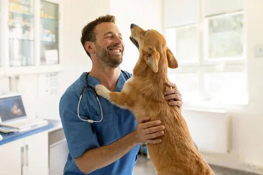 Pawbiotix review - 3